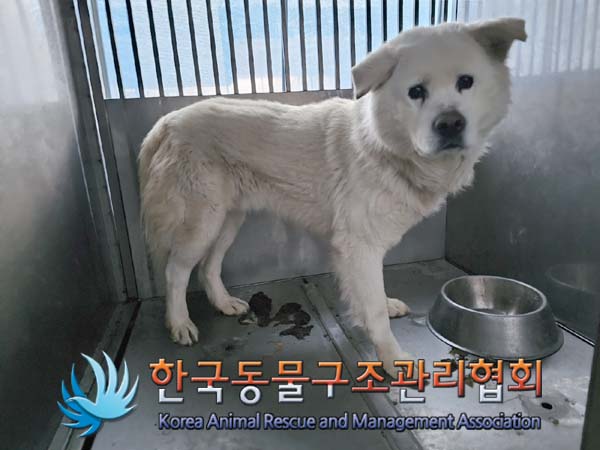 한국동물구조관리협회_441404202500021