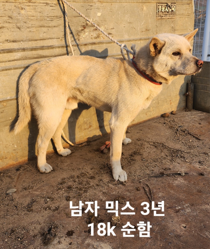 옥천동물병원_443443202500139