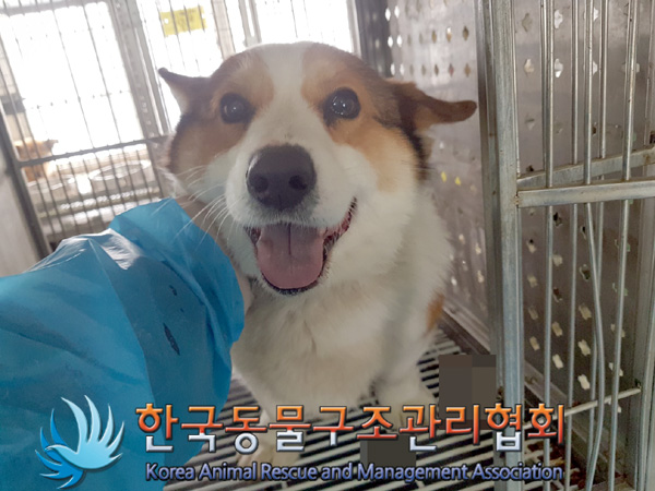 한국동물구조관리협회_441560202500195