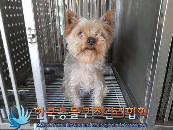 한국동물구조관리협회_441406202500111