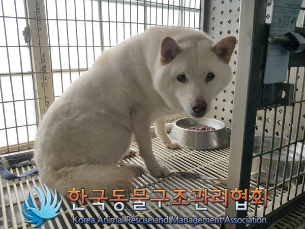 한국동물구조관리협회_411304202500051