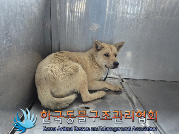 한국동물구조관리협회_441414202500088