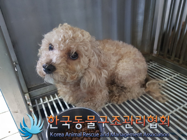 한국동물구조관리협회_411305202500037