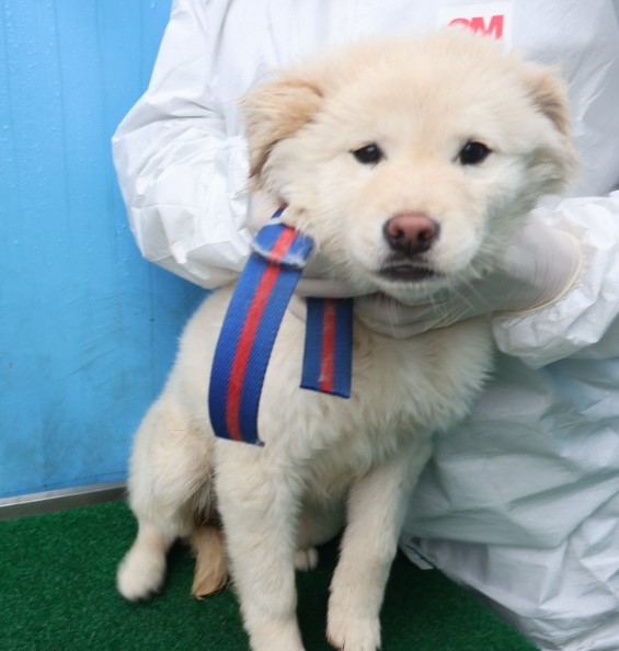 제주 동물보호센터_450650202500459