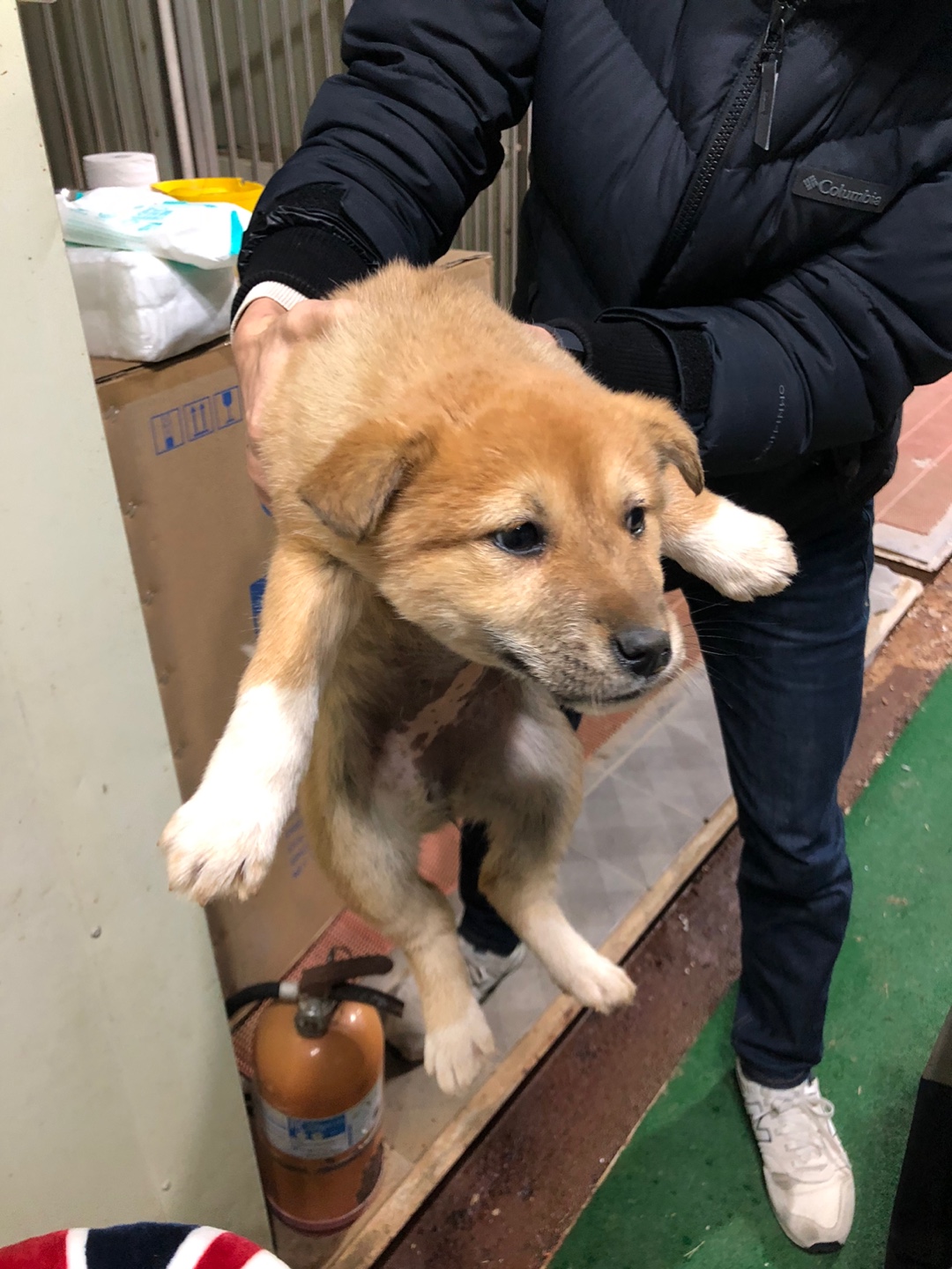 디디동물병원_428357202500118