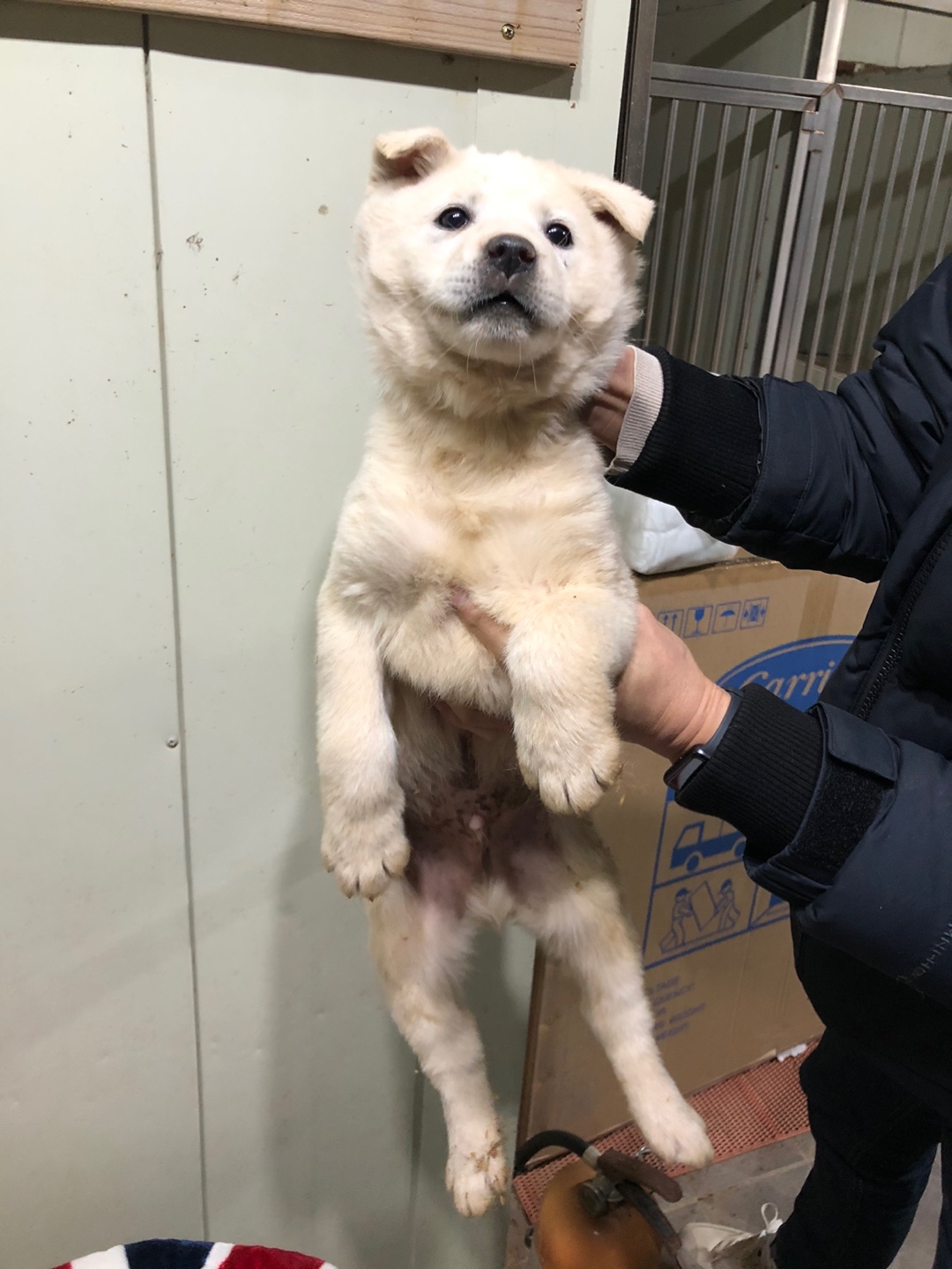 디디동물병원_428357202500123