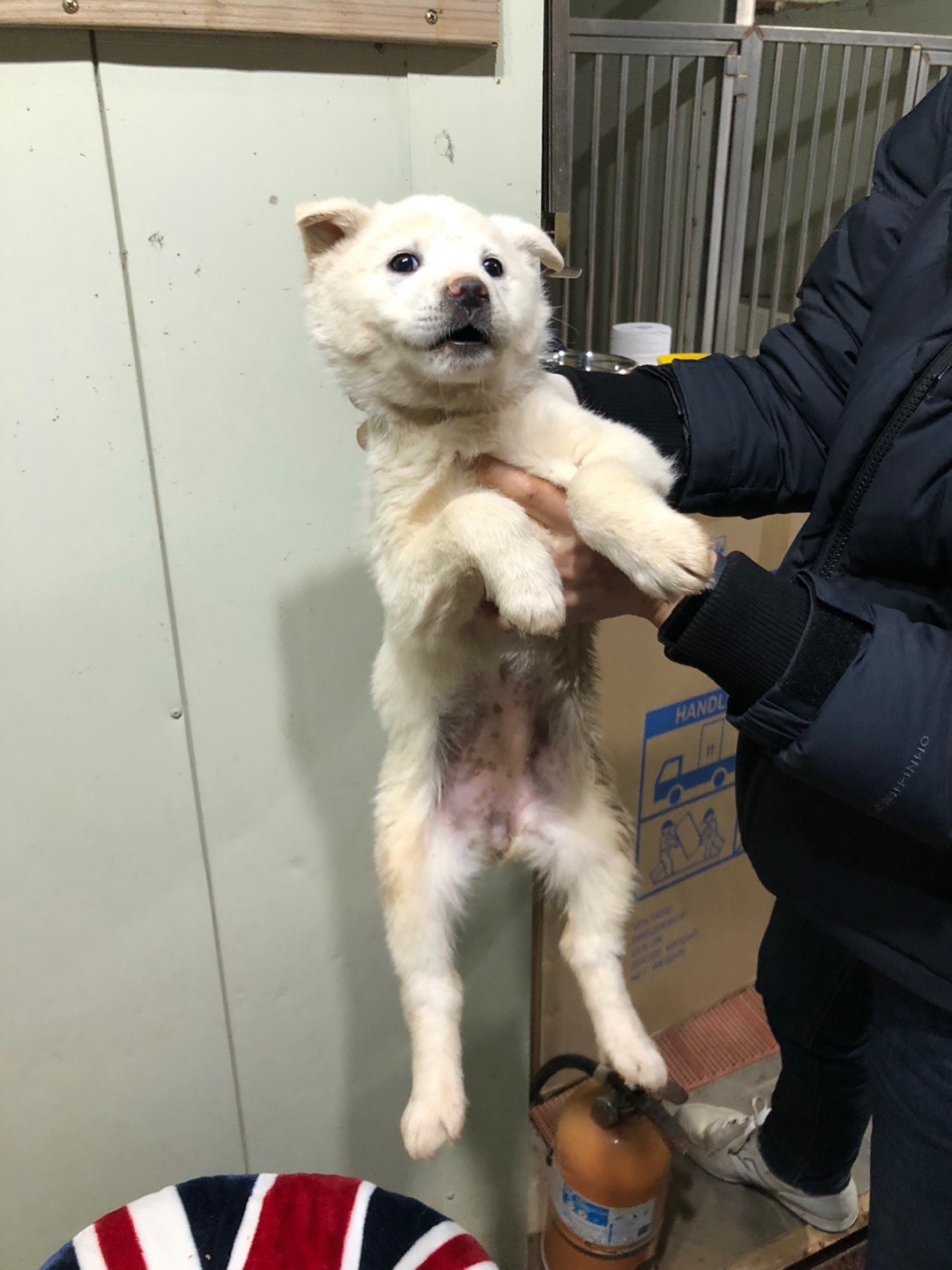디디동물병원_428357202500121