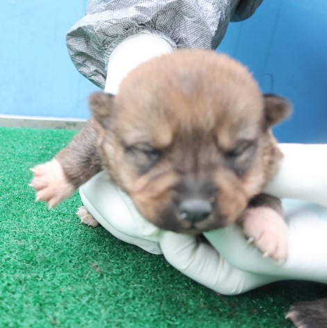 제주 동물보호센터_450650202500466