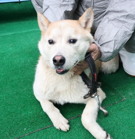 제주 동물보호센터_450650202500461