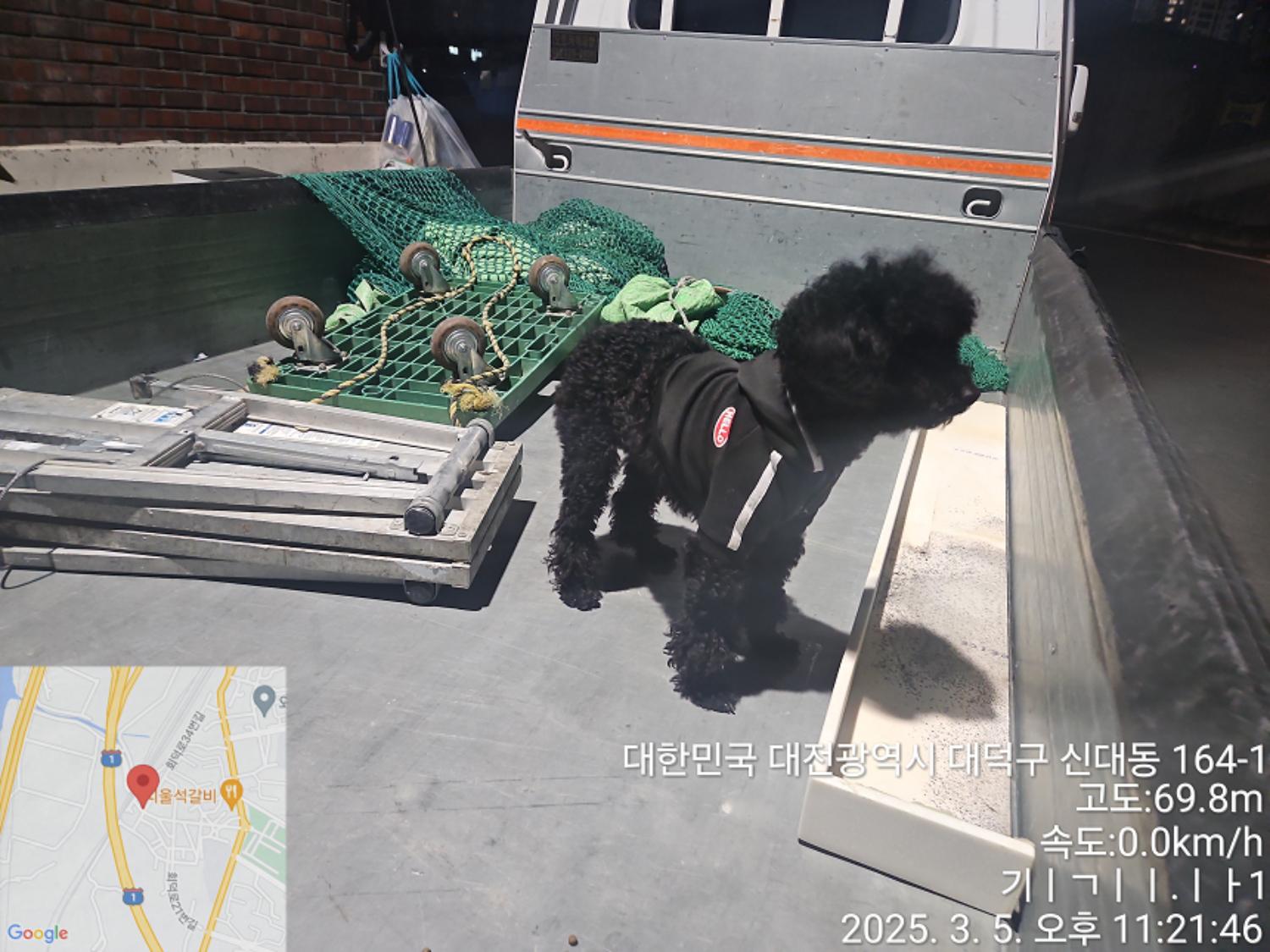 대전동물보호센터_430368202500035