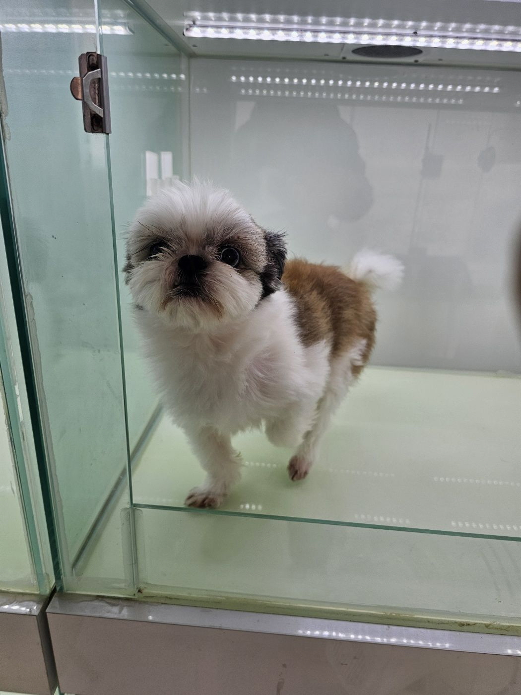 남산동물병원_411302202500069