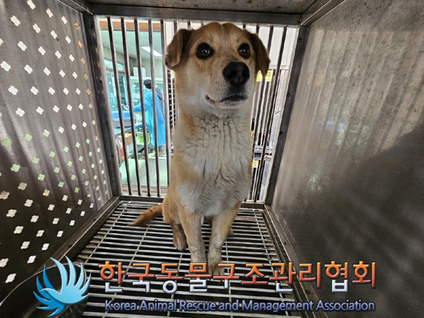 한국동물구조관리협회_411315202500064