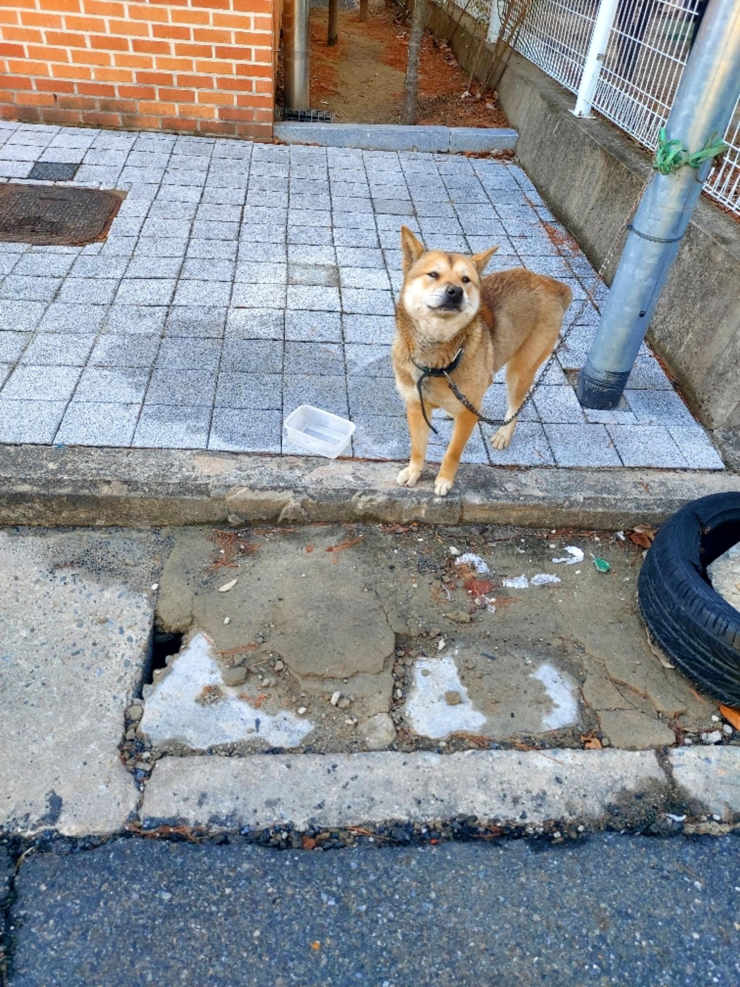 제일동물병원_444455202500144