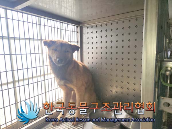 한국동물구조관리협회_441392202500032