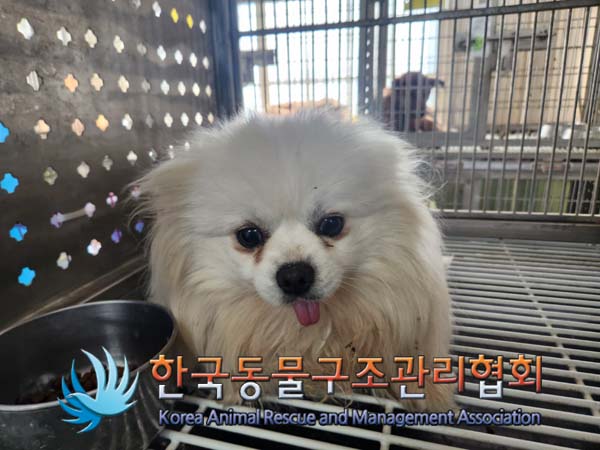 한국동물구조관리협회_441560202500209