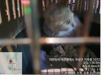 대전동물보호센터_430367202500055