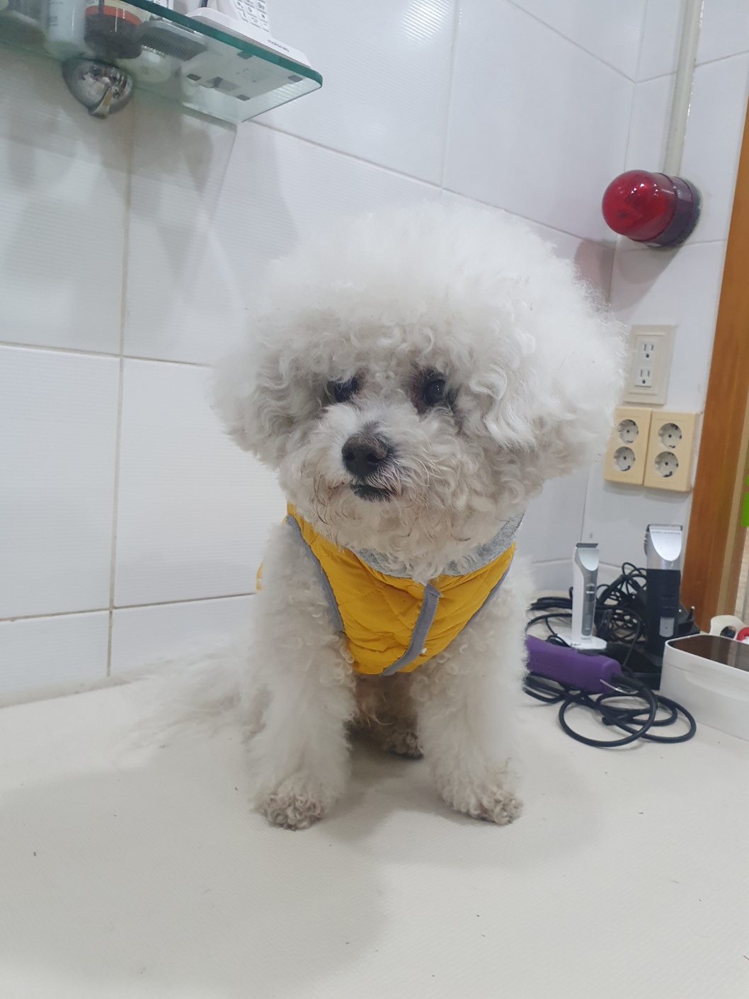 제니스동물병원_427346202500074