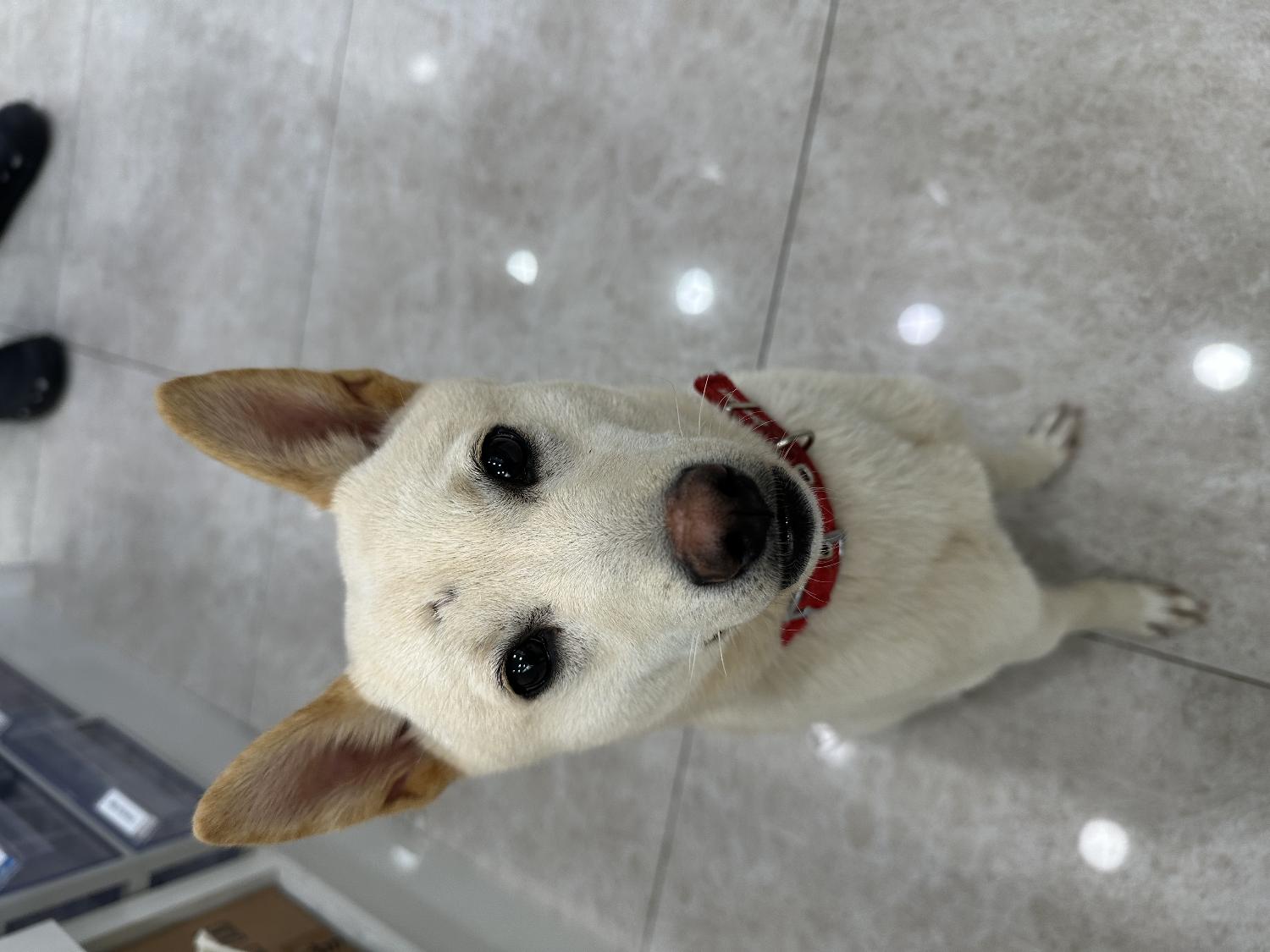 현풍동물병원_427348202500093