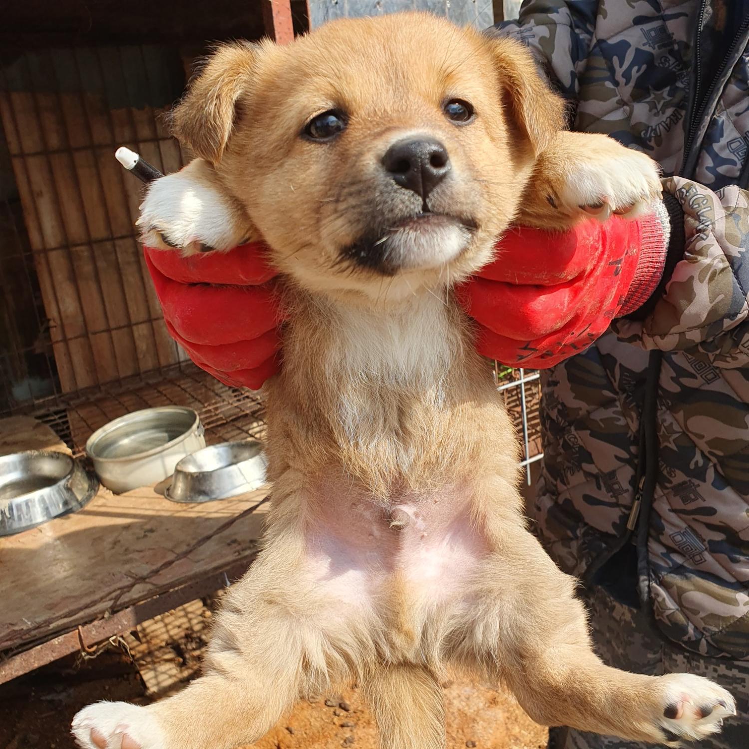 전북말산업복합센터_445471202500084