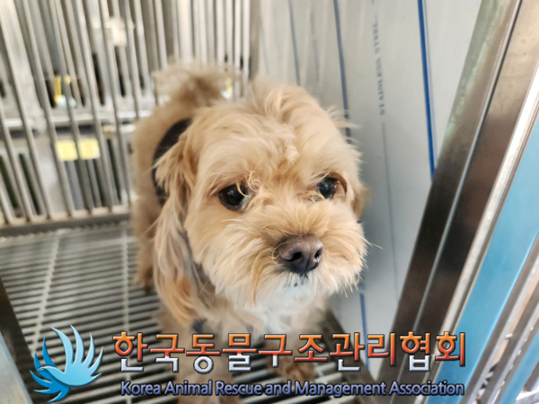 한국동물구조관리협회_411304202500068