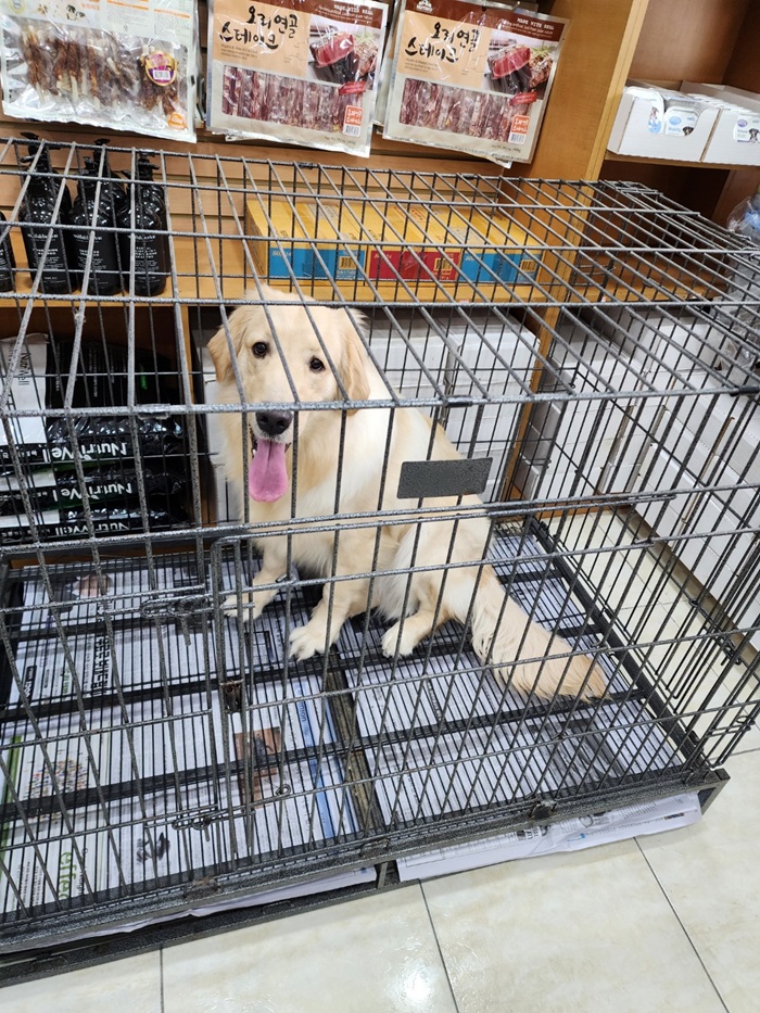 강현림동물병원_411314202500034