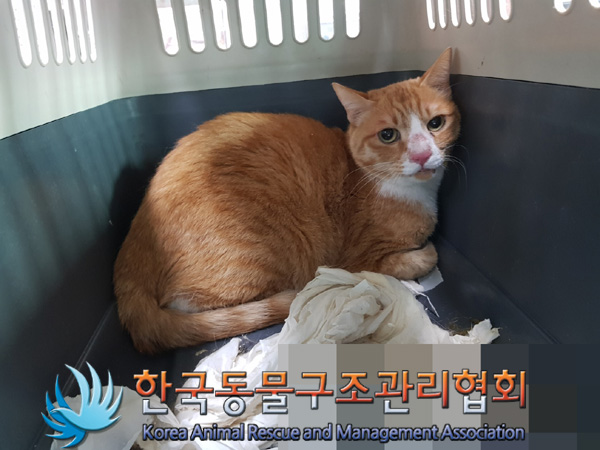 한국동물구조관리협회_411309202500012