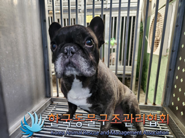 종료(반환) 프렌치…