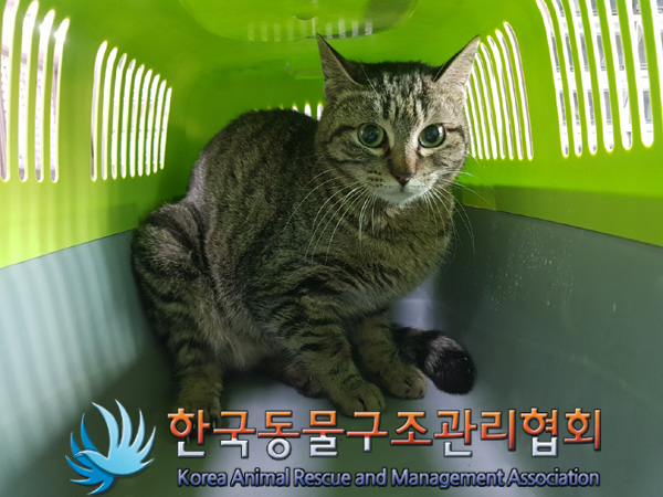 한국동물구조관리협회_441382202500042