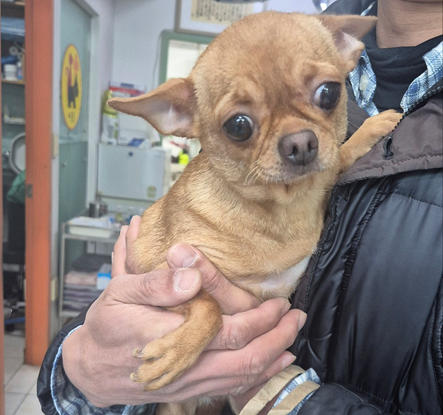 삼산종합동물병원_428354202500100