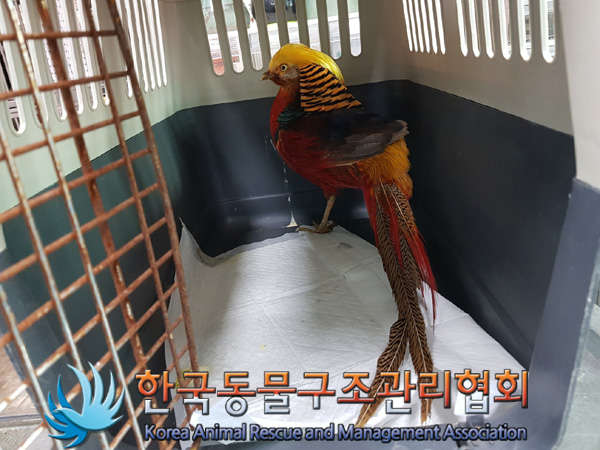 한국동물구조관리협회_441398202500069