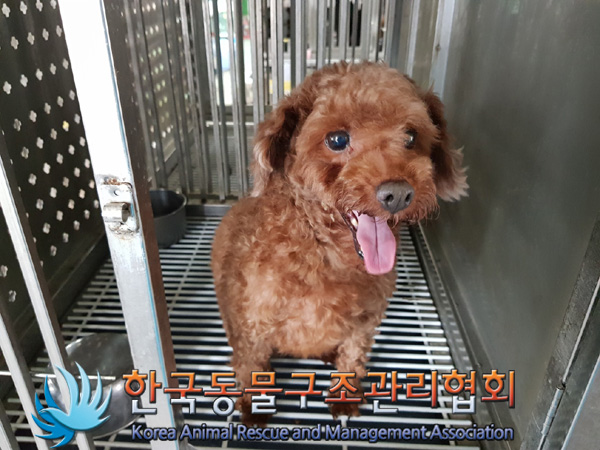 한국동물구조관리협회_441406202500127