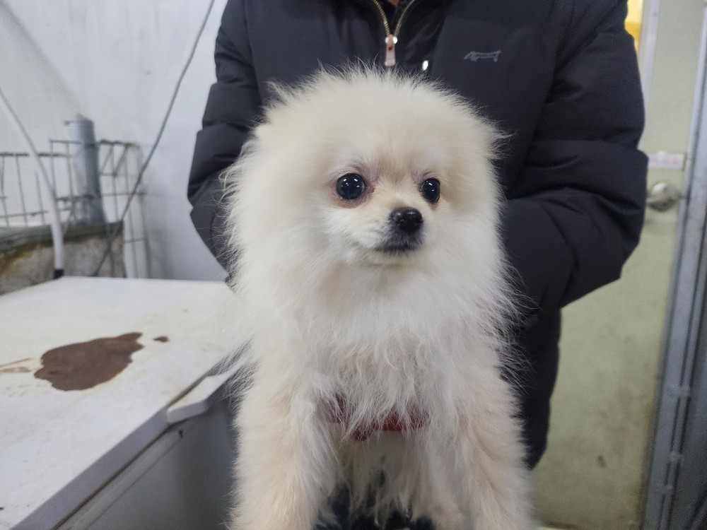 인천광역시수의사회_428351202500038