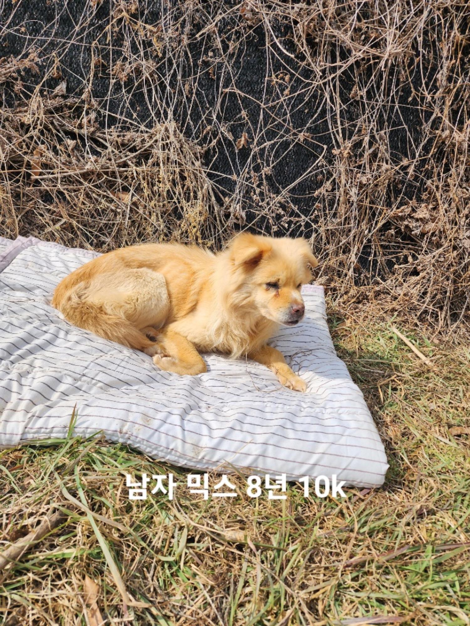 옥천동물병원_443443202500143
