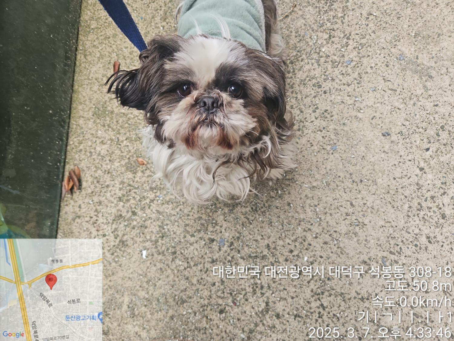 종료(반환) 시츄의…