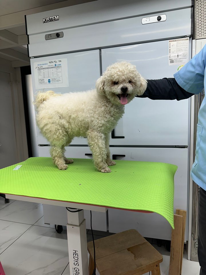 신공항동물병원_428349202500092