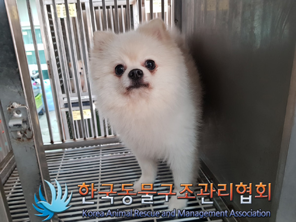 한국동물구조관리협회_411316202500080