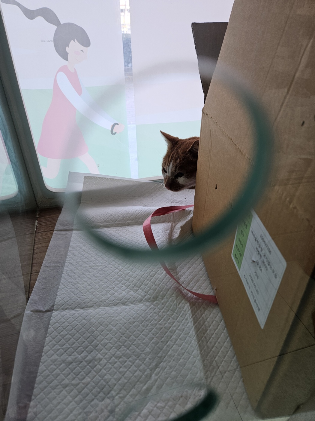 둔촌동물병원_411324202500022
