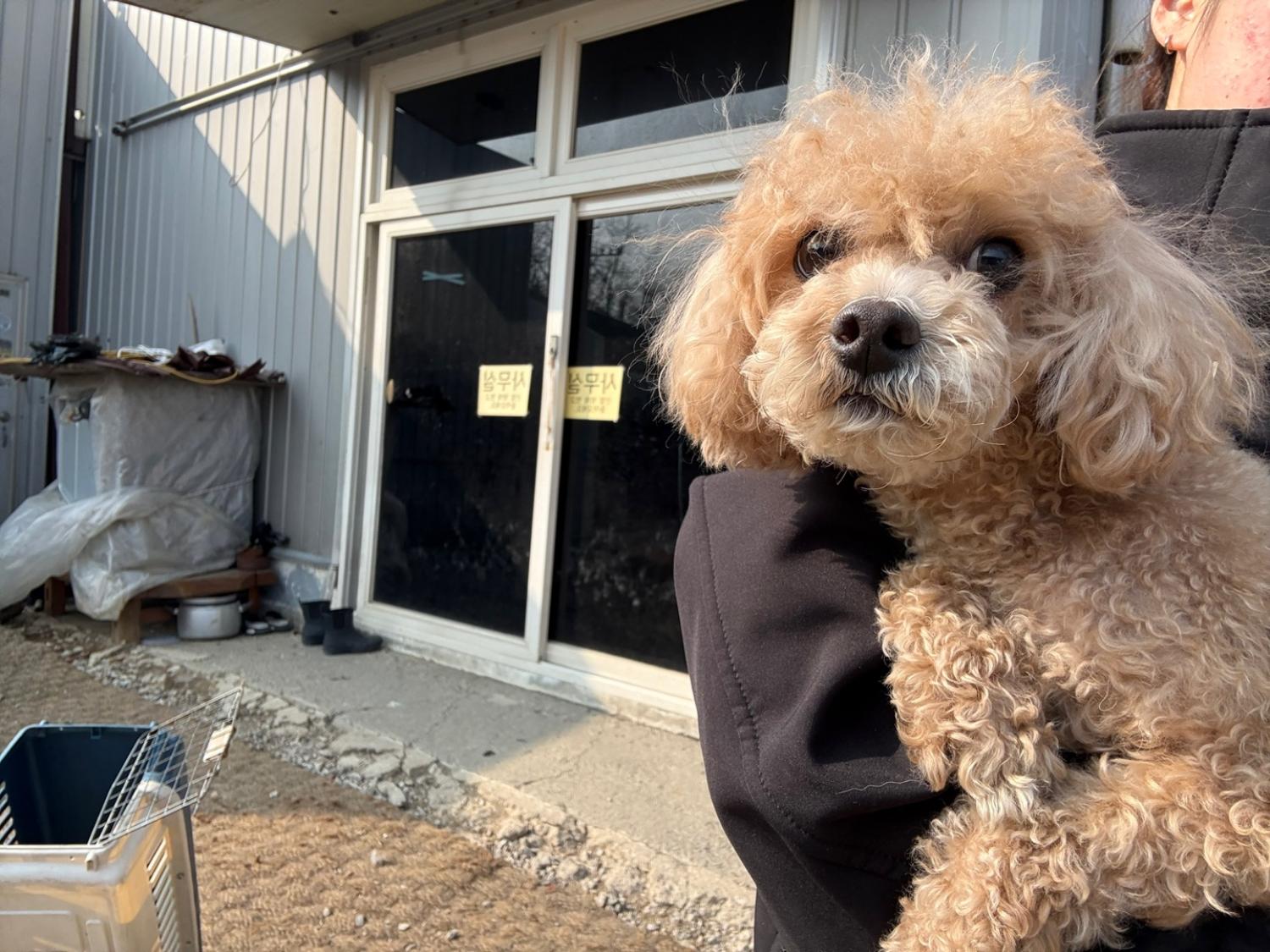 한국야생동물보호협회_441393202500235