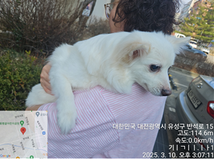 대전동물보호센터_430367202500081