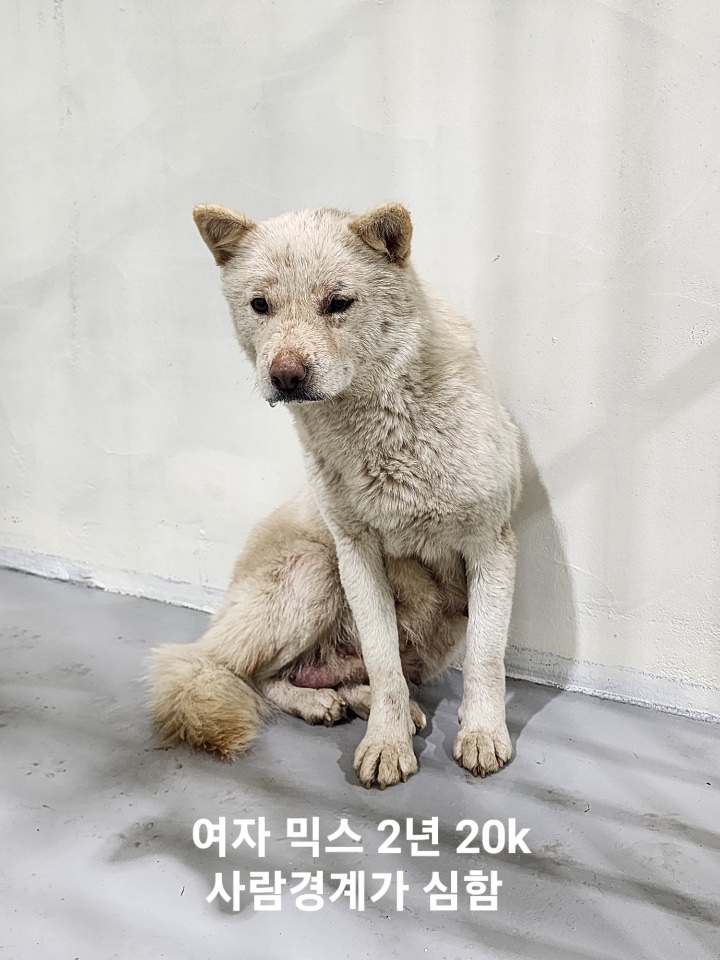 옥천동물병원_443443202500149