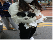 (사)동물보호관리협회_448535202500127