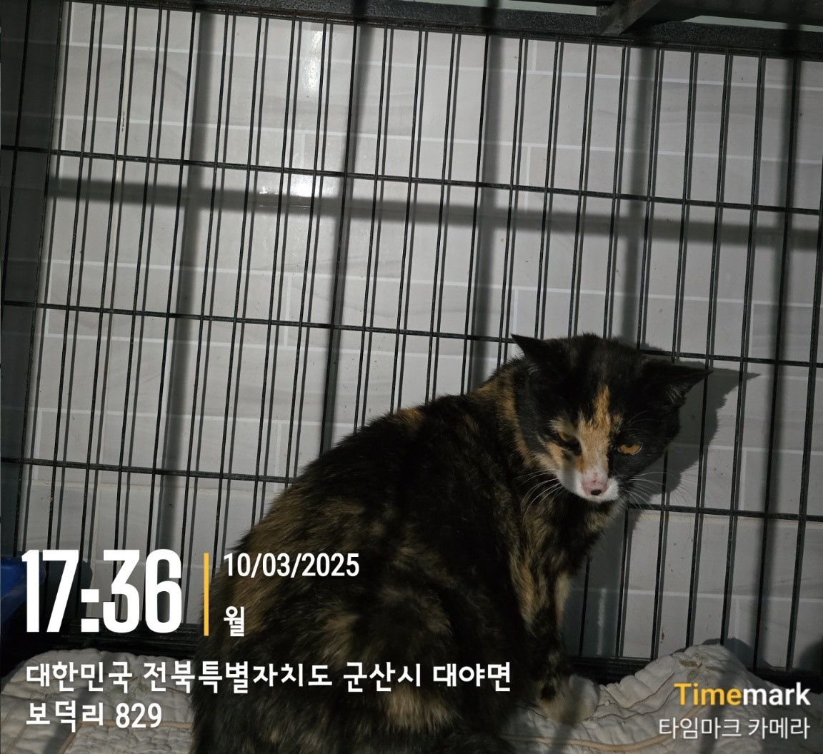 군산유기동물보호센터_445467202500222