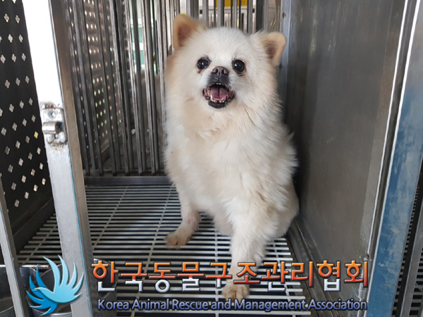 한국동물구조관리협회_441409202500292
