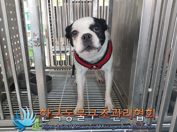 종료(반환) 보스턴…