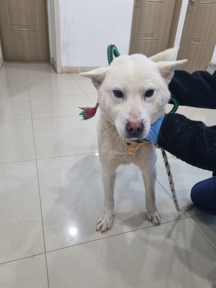 반려동물보호센터_443571202500256