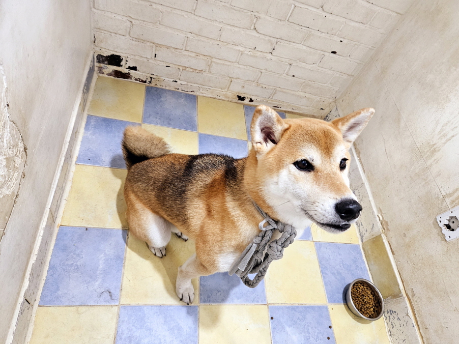 남산동물병원_411302202500097