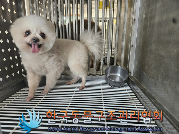 한국동물구조관리협회_441559202500164