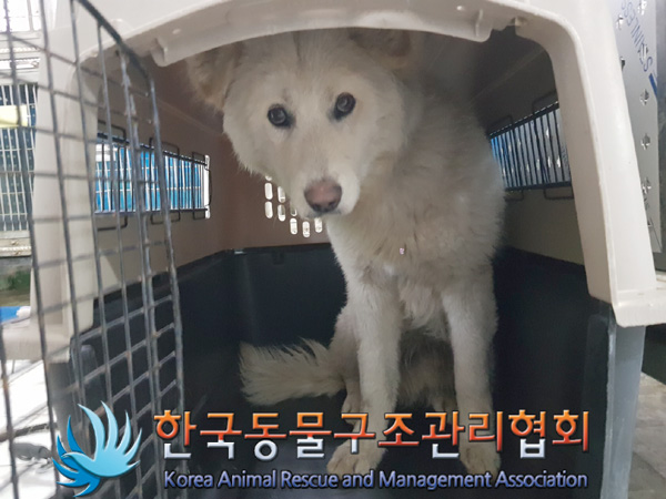 한국동물구조관리협회_441559202500163