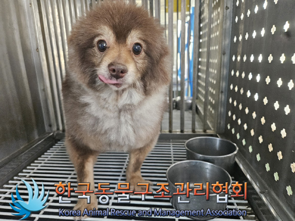 한국동물구조관리협회_441559202500165