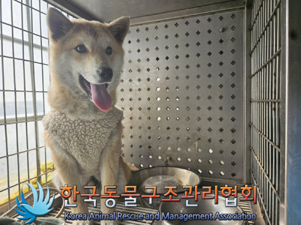 한국동물구조관리협회_441382202500086